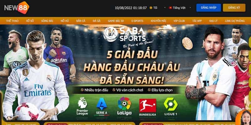 Trang cá cược bóng đá uy tín hàng đầu trên thị trường 4 Trang cá cược bóng đá uy tín hàng đầu trên thị trường