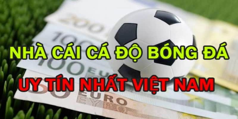 Xếp hạng trang cá độ bóng đá uy tín nhất Việt Nam 5 Các trang web cá cược bóng đá uy tín hấp dẫn