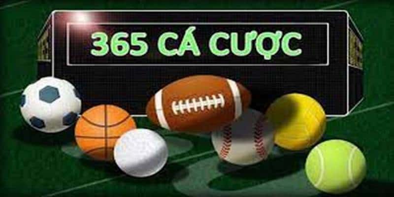 Ưu đãi đặc biệt khi đến với trang web 365 cá cược 7 Khi đến với 365 cá cược bạn sẽ nhận được nhiều ưu đãi hấp dẫn