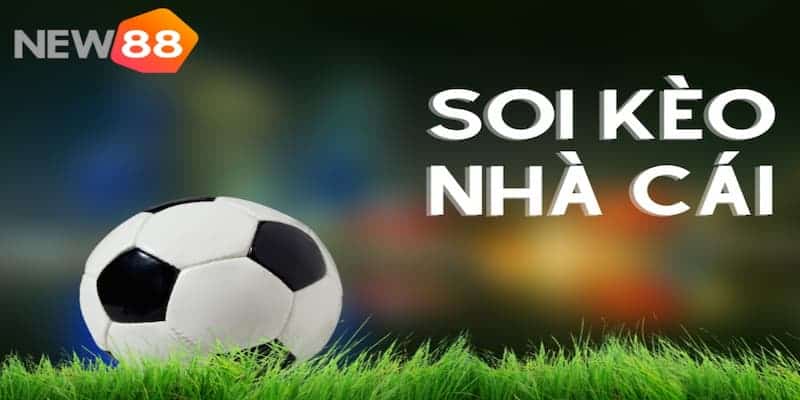 Một số mẹo hay soi kèo bóng đá chuẩn xác tại New88 6 Tham gia diễn đàn soi kèo